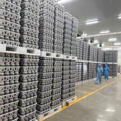 崇明农业再添新引擎 2900万元投资项目建成投产